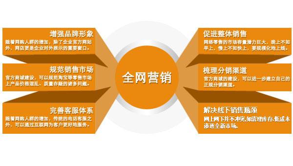 全网营销公司最全面的营销方案_网站